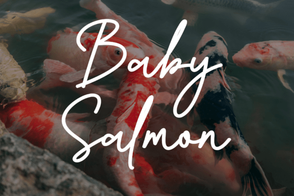 Baby Salmon: A Script Font for Modern Branding