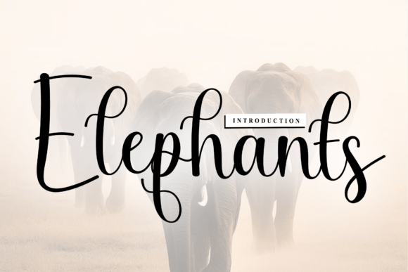 Elephants: A Font That Breathes Life into Your Craft