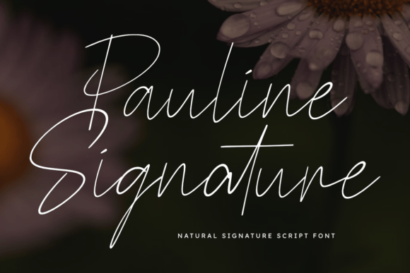 Pauline Signature: The Font That Elevates Your Campaigns