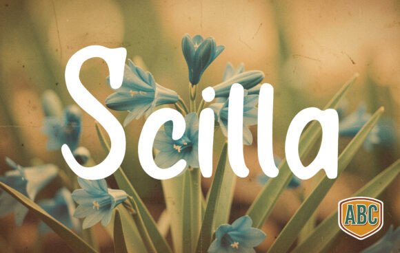 Scilla: A Font That Speaks with Warmth and Clarity