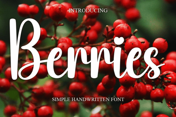 Testing Berries: A Handwritten Font for Real Branding Projects